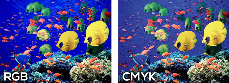 CMYK and RGB Color Difference